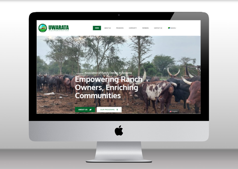 Website Design in Kenya